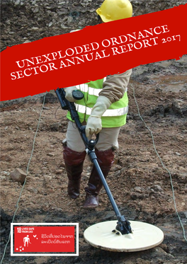 Unexploded Ordnance Sector Annual Report 2017