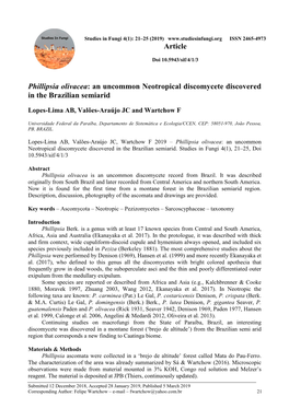 Phillipsia Olivacea: an Uncommon Neotropical Discomycete Discovered in the Brazilian Semiarid