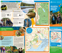 Dumfries and the Solway