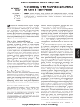 Antoni a and Antoni B Tissue Patterns