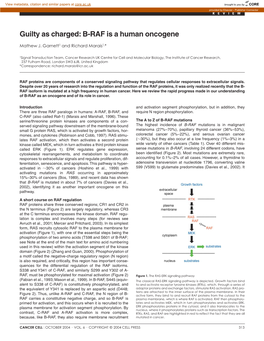 Guilty As Charged: B-RAF Is a Human Oncogene