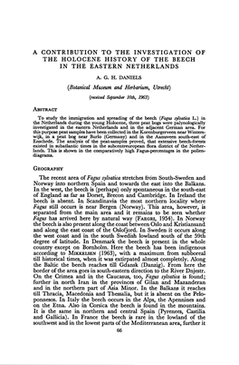 A Contribution to the Investigation of the Holocene History of the Beech in the Eastern Netherlands