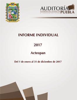Informe Individual 2017