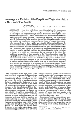 Homology and Evolution of the Deep Dorsal Thigh Musculature in Birds