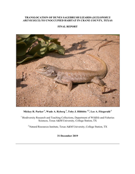 Translocation of Dunes Sagebrush Lizards (Sceloporus Arenicolus) to Unoccupied Habitat in Crane County, Texas