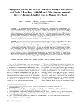 Phylogenetic Position and Notes on the Natural History of Pimelabditus