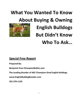 What You Wanted to Know About Buying & Owning English Bulldogs
