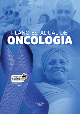 Rede De Atenção Às Pessoas Com Doenças Crônicas Plano Estadual De Oncologia