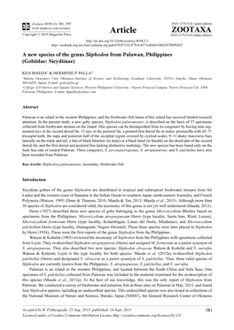 A New Species of the Genus Stiphodon from Palawan, Philippines (Gobiidae: Sicydiinae)