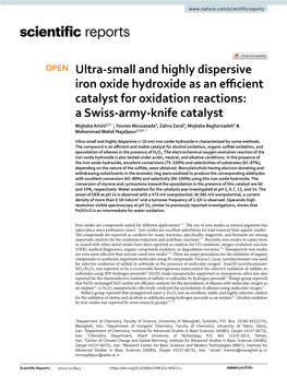 Ultra-Small and Highly Dispersive Iron Oxide Hydroxide As An