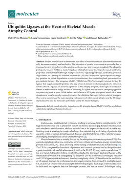 Ubiquitin Ligases at the Heart of Skeletal Muscle Atrophy Control