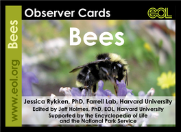 Observer Cards—Bees