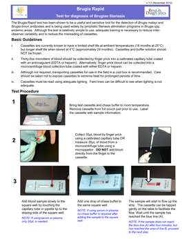 Brugia Rapid