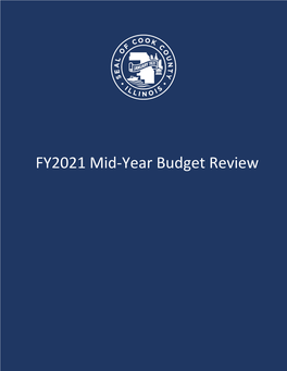 Mid-Year Budget Review 2021 Midyear Budget Hearings