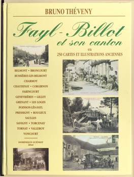 Fayl-Billot Et Son Canton L'auteur
