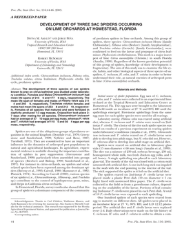 Development of Three Sac Spiders Occurring on Lime Orchards at Homestead, Florida