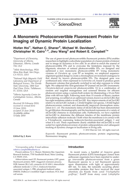 A Monomeric Photoconvertible Fluorescent Protein for Imaging of Dynamic Protein Localization