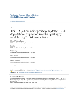 TBC1D3, a Hominoid-Specific Gene, Delays IRS-1 Degradation and Promotes Insulin Signaling by Modulating P70 S6 Kinase Activity Marisa J