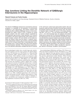 Gap Junctions Linking the Dendritic Network of Gabaergic Interneurons in the Hippocampus