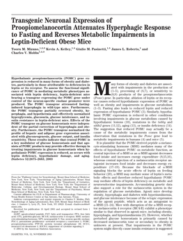 Transgenic Neuronal Expression of Proopiomelanocortin Attenuates