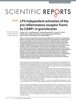 LPS Independent Activation of the Pro-Inflammatory Receptor Trem1 by C/Ebpε in Granulocytes Received: 02 October 2015 Hyung C
