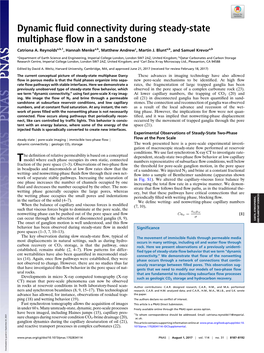 Dynamic Fluid Connectivity During Steady-State Multiphase Flow in A