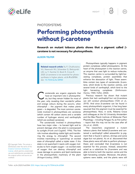 Performing Photosynthesis Without B-Carotene