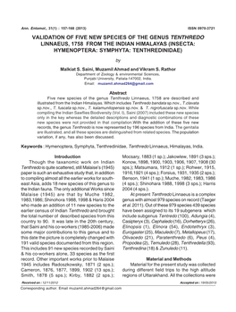 Validation of Five New Species of the Genus Tenthredo Linnaeus, 1758 from the Indian Himalayas (Insecta: Hymenoptera: Symphyta: Tenthredinidae)