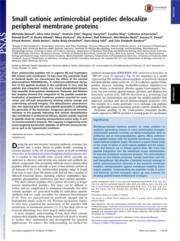 Small Cationic Antimicrobial Peptides Delocalize Peripheral Membrane Proteins