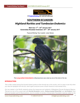 Highland Rarities and Tumbesian Endemics