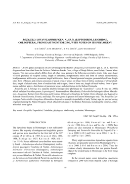 Leptodirini, Leiodidae, Coleoptera), from East Montenegro, with Notes on Its Phylogeny
