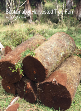 Sustainably Harvested Tree Fern Text by Alan Ford