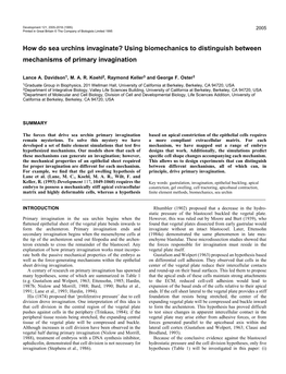 How Do Sea Urchins Invaginate? Using Biomechanics to Distinguish Between Mechanisms of Primary Invagination