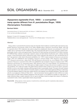 A Cosmopolitan Tramp Species Different from H. Punctatissima (Roger, 1859) (Hymenoptera: Formicidae)