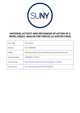 Antiviral Activity and Mechanism of Action of a Novel Uracil Analog for Varicella-Zoster Virus