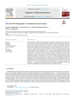 3D and 4D Lithography of Untethered Microrobots