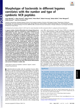 Morphotype of Bacteroids in Different Legumes Correlates with the Number and Type of Symbiotic NCR Peptides