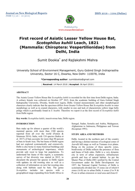 First Record of Asiatic Lesser Yellow House Bat, Scotophilus Kuhlii Leach, 1821 (Mammalia: Chiroptera: Vespertilionidae) from Delhi, India