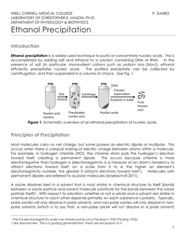 Ethanol Precipitation