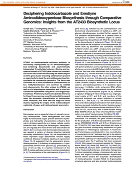 Deciphering Indolocarbazole and Enediyne Aminodideoxypentose Biosynthesis Through Comparative Genomics: Insights from the AT2433 Biosynthetic Locus