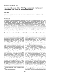 Hyper-Abundance of Native Wild Pigs (Sus Scrofa) in a Lowland Dipterocarp Rain Forest of Peninsular Malaysia1