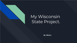 My Wisconsin State Project