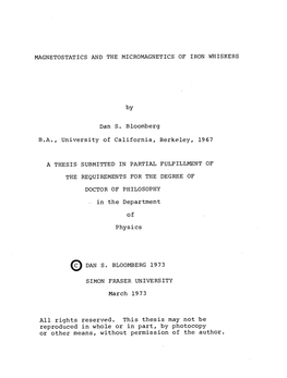 Magnetostatics and the Micromagnetics of Iron Whiskers