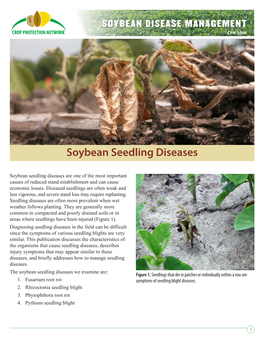 Soybean Seedling Disease Management