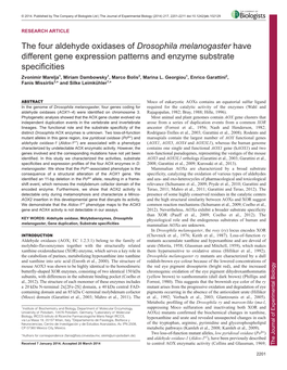 The Four Aldehyde Oxidases of Drosophila Melanogaster Have