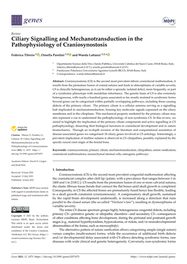 Ciliary Signalling and Mechanotransduction in the Pathophysiology of Craniosynostosis