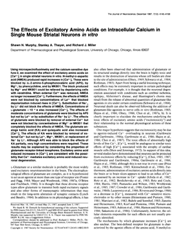 The Effects of Excitatory Amino Acids on Intracellular Calcium in Single Mouse Striatal Neurons in Vitro