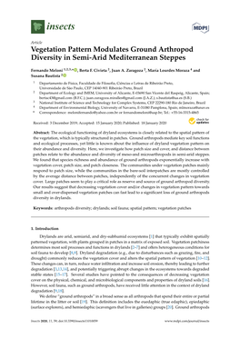 Vegetation Pattern Modulates Ground Arthropod Diversity in Semi-Arid Mediterranean Steppes