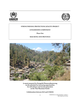 Strengthening Protectioncapacity Project Livelihoods