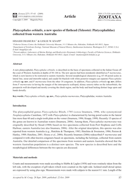 Zootaxa, Platycephalus Orbitalis, a New Species of Flathead (Teleostei